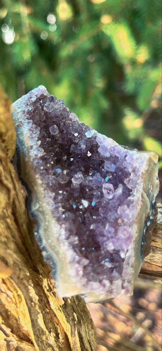 Amethyst cluster