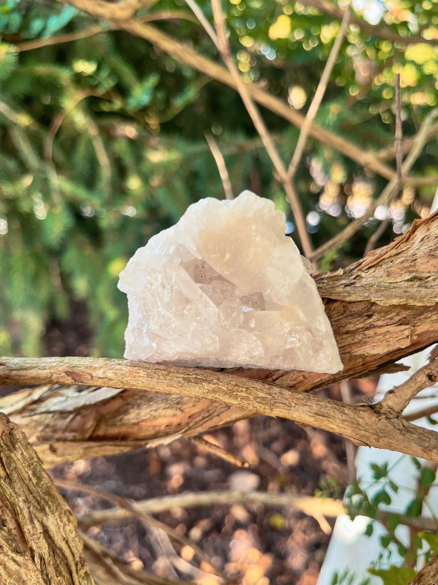 Clear Quartz Cluster