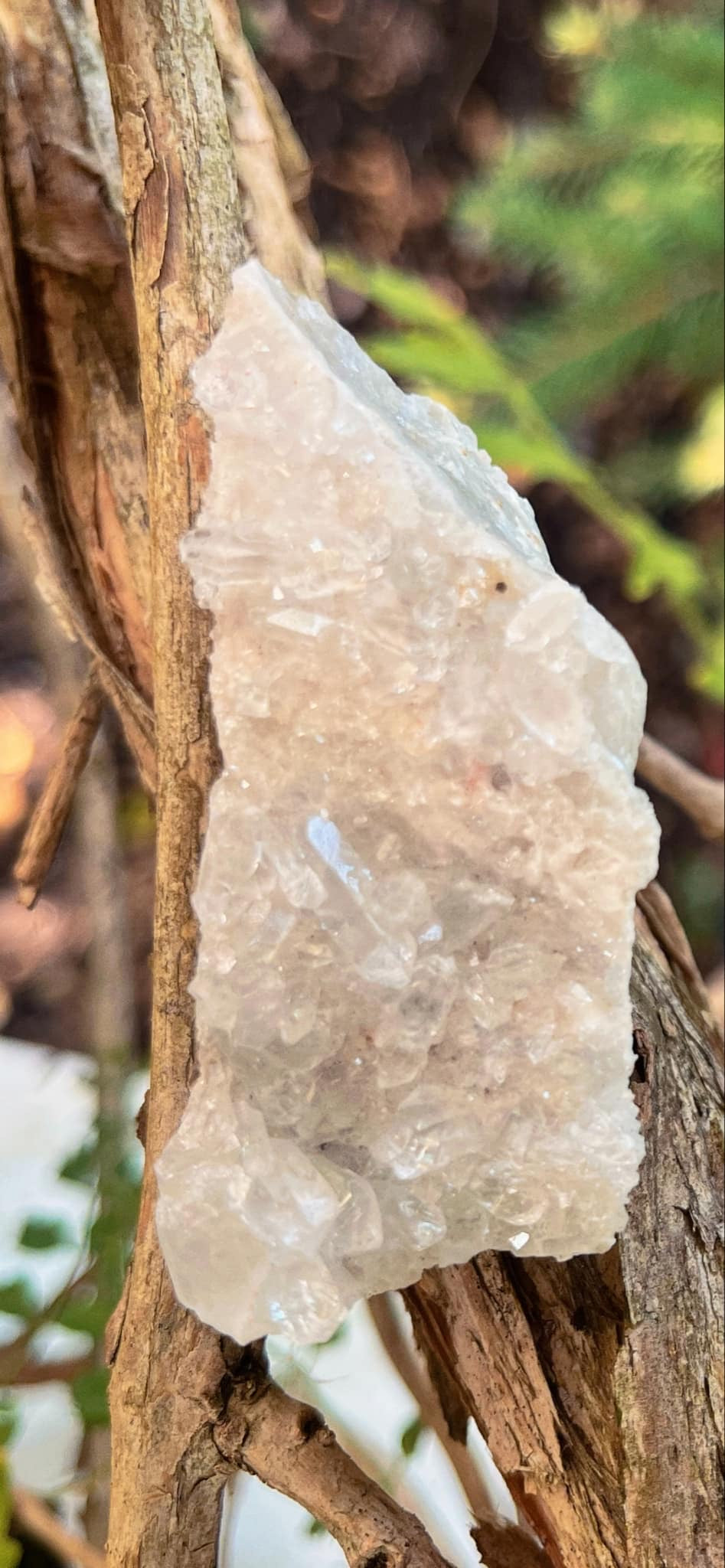 Clear Quartz Cluster