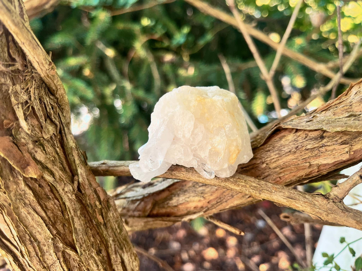 Clear Quartz Cluster